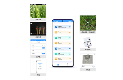 郑州市小麦表型检测仪IN-XM04